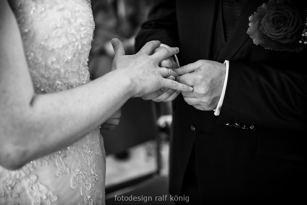rk-fotodesign-1508-3871-1.JPG
