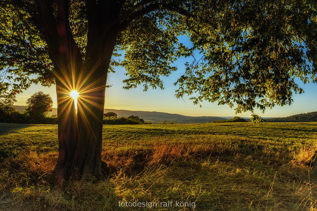 rk-fotodesign-1608-DSCF4007-Barterode-NSG-Ossenberg-Blick-ueber-Auschnippetal-und-Bramwald-zum-Solling.JPG