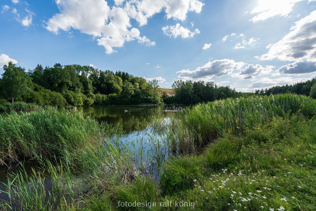 rk-fotodesign-DSC04223-Unterer-Kranichteich.JPG