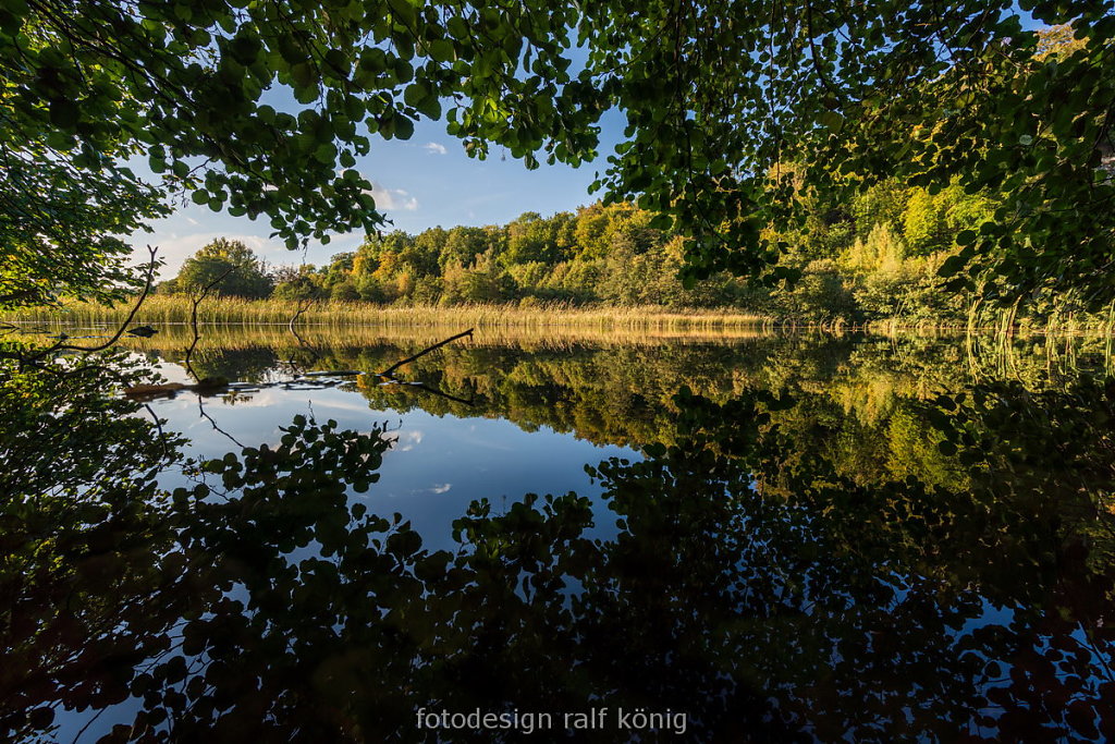 rk-fotodesign-DSC08117-Itelteich.JPG
